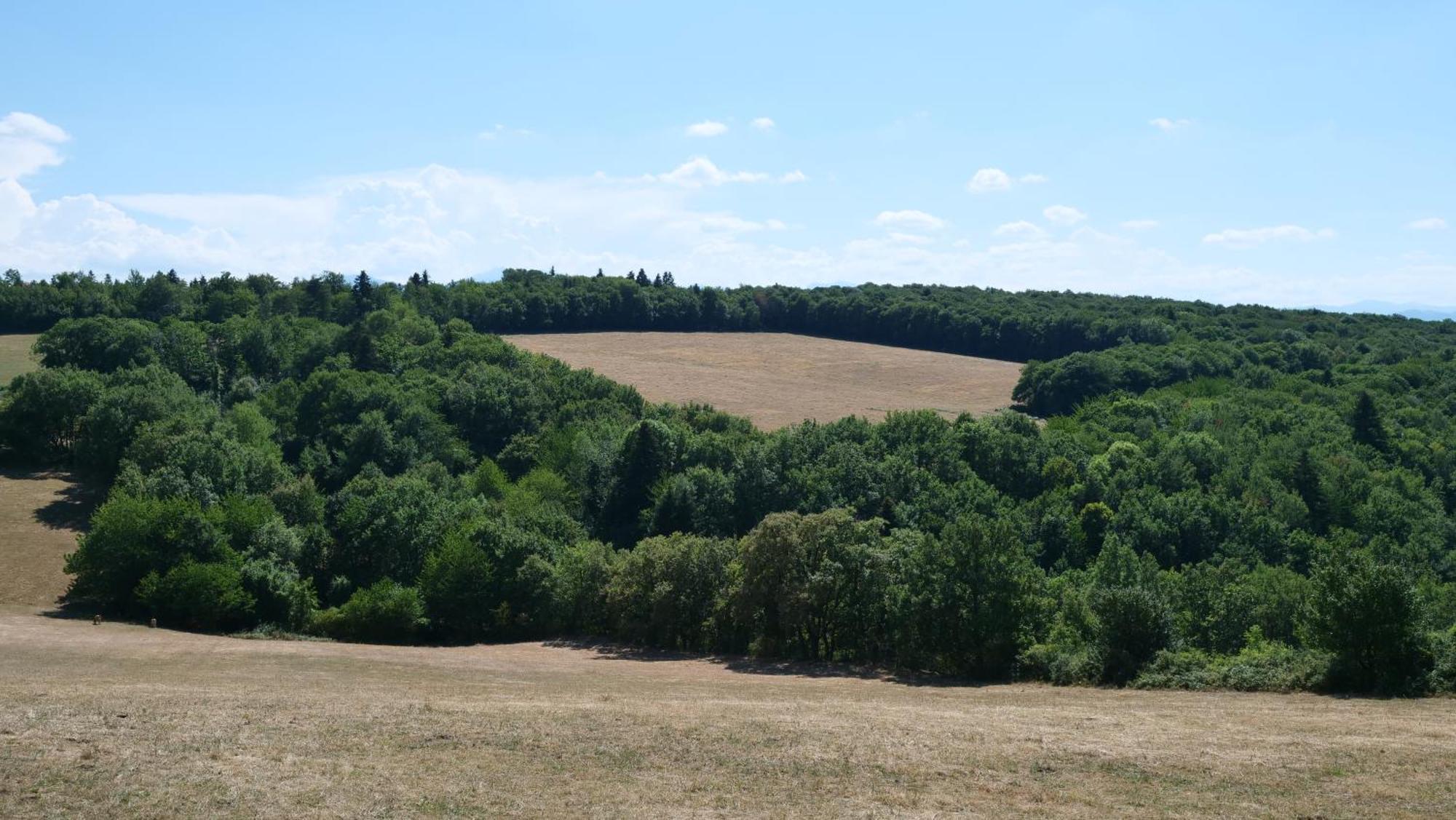 Maison Avec Vue Sur Le Lac De Montbel Exterior foto